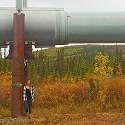 Katlyn stands next to the Dalton pipeline for scale.